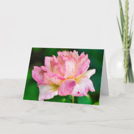 Roze Roos Kaart