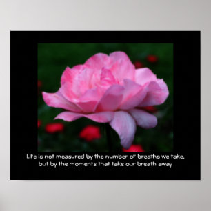 Roze Roos Levenshouding Citaat Inspirerend Poster
