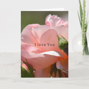 Roze Roos Liefde (foto door mij) Kaart