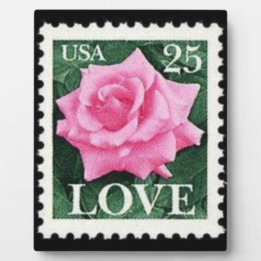 Roze Roos Liefde Fotoplaat (Voorkant)