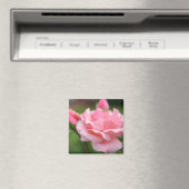Roze Roos Magneet (Insitu (Vaatwasser))