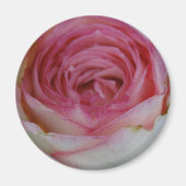 Roze roos magneet (Voorkant)