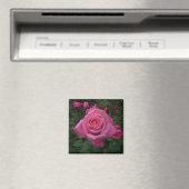 Roze roos magneet (Insitu (Vaatwasser))