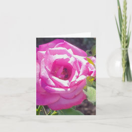 Roze Roos met een Bij Persoonlijke Wenskaart Kaart