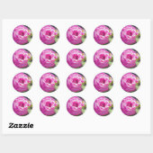 Roze Roos met een Bijen Stickers (Vel)