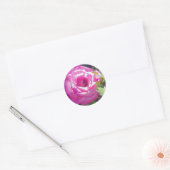 Roze Roos met een Bijen Stickers (Envelop)