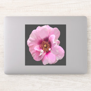 Roze roos met Paarse Hart - olieverfschilderij Sticker