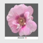 Roze roos met Paarse Hart - olieverfschilderij Sticker (Vel)