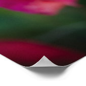 Roze roos met sneeuwvlokken poster (Hoek)