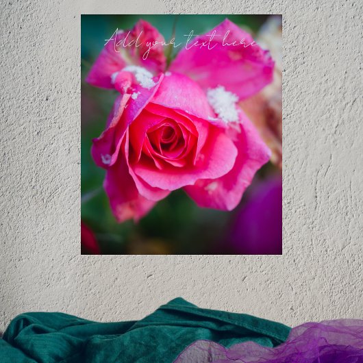Roze roos met sneeuwvlokken poster