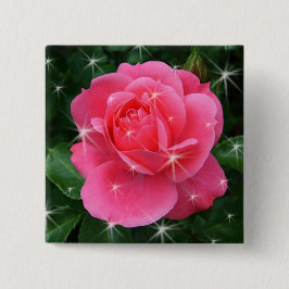 Roze roos met sterren vierkante button 5,1 cm