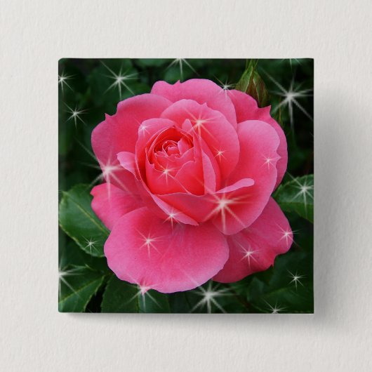 Roze roos met sterren vierkante button 5,1 cm (Voorkant)