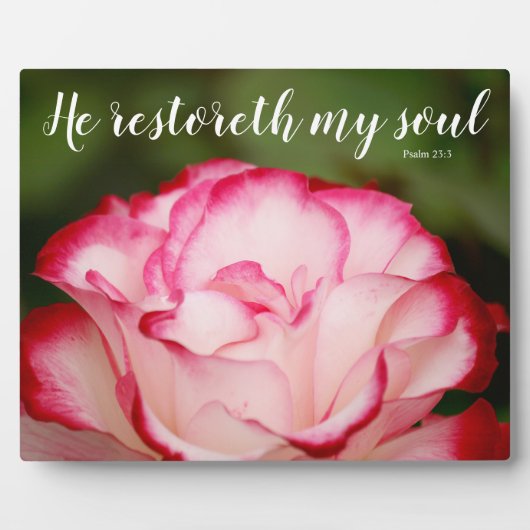 Roze Roos met variabele opmaak 23:3 Fotoplaat (Voorkant)