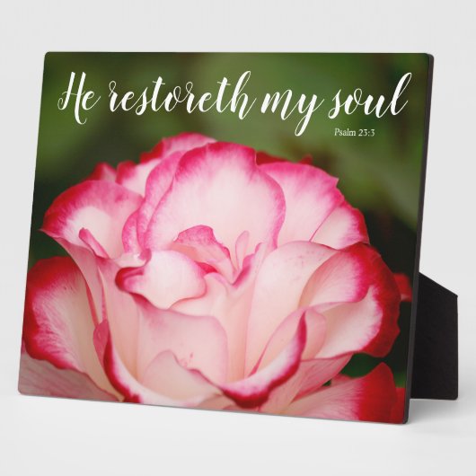 Roze Roos met variabele opmaak 23:3 Fotoplaat (Zijkant)