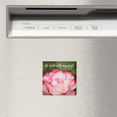 Roze Roos met variabele opmaak 23:3 Magneet (Insitu (Vaatwasser))