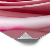 Roze roos met waterdruppels poster (Hoek)