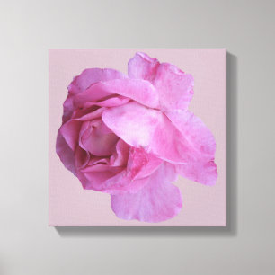 roze roos moderne bloemen eenvoudige kunst canvas afdruk
