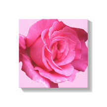 roze roos moderne minimalistische bloemenkunst