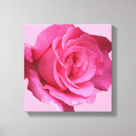  roze roos moderne minimalistische bloemenkunst canvas afdruk