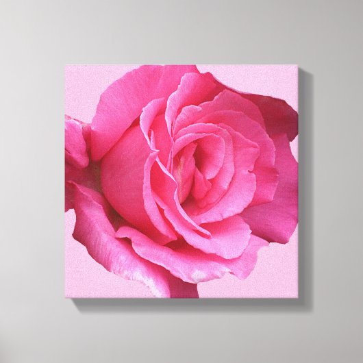  roze roos moderne minimalistische bloemenkunst canvas afdruk (Voorkant)