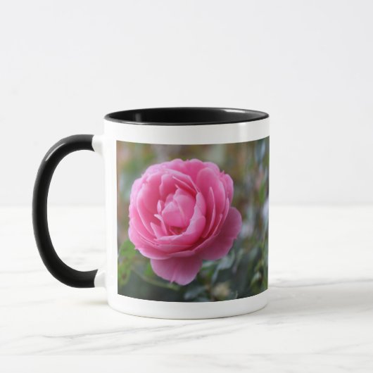 roze roos mok (Links)