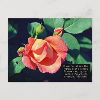 Roze Roos Motivatie prijsopgave voor budgettering Briefkaart