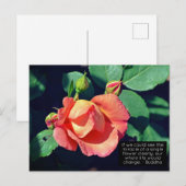 Roze Roos Motivatie prijsopgave voor budgettering Briefkaart (Voorkant / Achterkant)