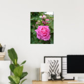 Roze  Roos Natuur Tuin Poster (Thuiskantoor)