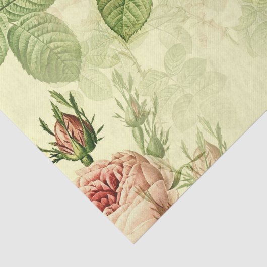 Roze Roos Ontvlechtingspapier voor ontwerp Tissuepapier (Detail)