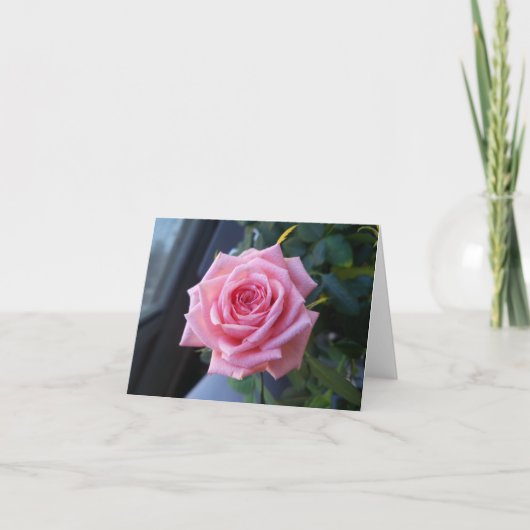 Roze roos op een blanco briefkaart (Voorkant)