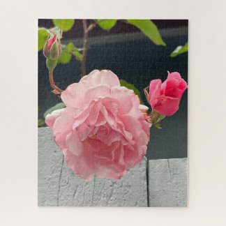 Roze Roos op Houten Schutting, Oakland Legpuzzel