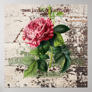 Roze Roos op rustiek houten paneel Poster