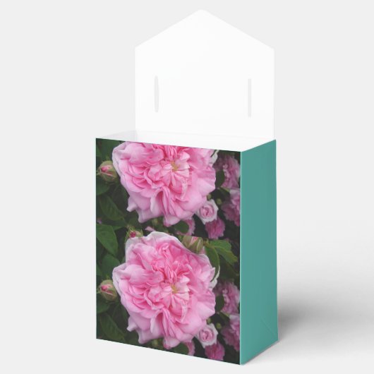 Roze  Roos partij voorgerecht Bedankdoosjes (Geopend)