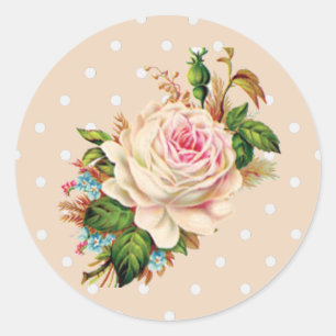 Roze Roos Polka stippen Stickers