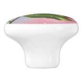 Roze Roos Regenboogpasta Floral Keramische Knop (Zijkant)