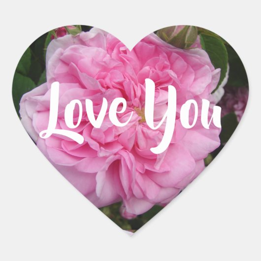 Roze Roos  Retrobloemen bloemenliefde Hart Sticker (Voorkant)