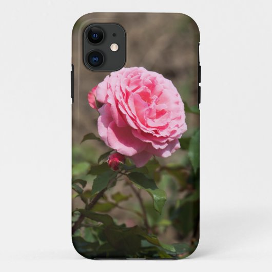 roze roos rode knoppen Case-Mate iPhone case (Achterkant)