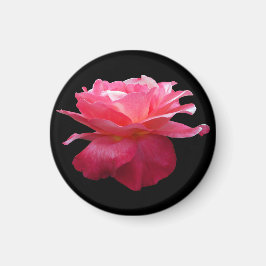 Roze Roos Ronde Koelkastmagneet Tuinier Cadeau Magneet