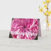 Roze Roos Rozen Bloemen Verjaardkaart Kaart (Gele Bloem)