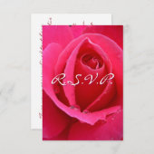 Roze Roos RSVP Persoonlijke Rozen Kaarten (Voorkant / Achterkant)