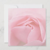 Roze Roos • Save the Date Aankondiging (Achterkant)