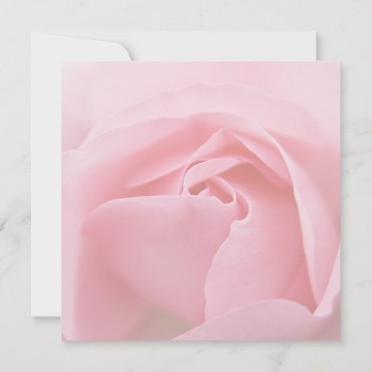 Roze Roos • Save the Date Aankondiging (Achterkant)