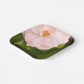 Roze Roos Square Designer Papieren Borden Bordje (Gebogen)