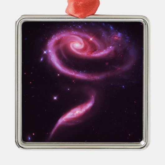 Roze Roos Stelsels Metalen Ornament (Voorkant)