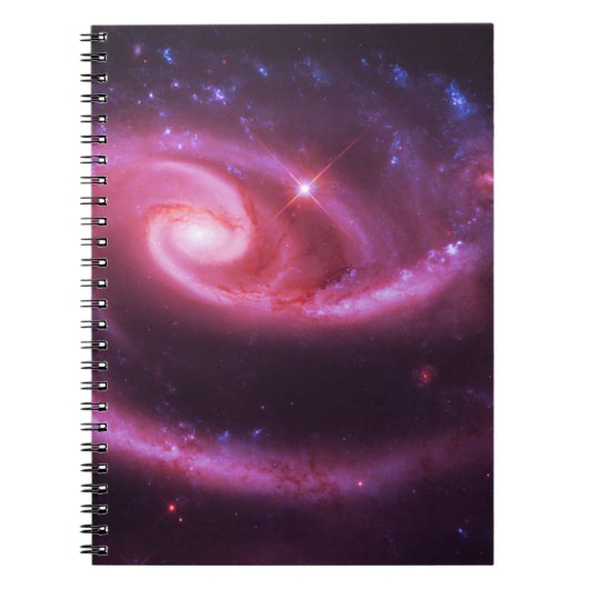 Roze Roos Stelsels Notitieboek (Voorkant)