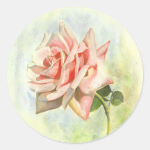 Roze Roos Stickers