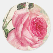 Roze  Roos stickers