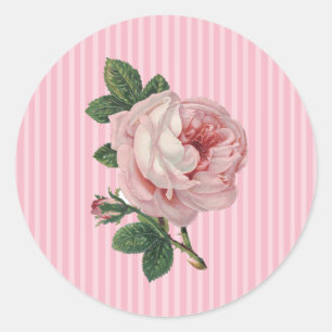Roze  Roos stickers