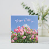 Roze roos struik onder blauwe lucht, op maat (Staand voorkant)