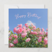 Roze roos struik onder blauwe lucht, op maat (Voorkant)